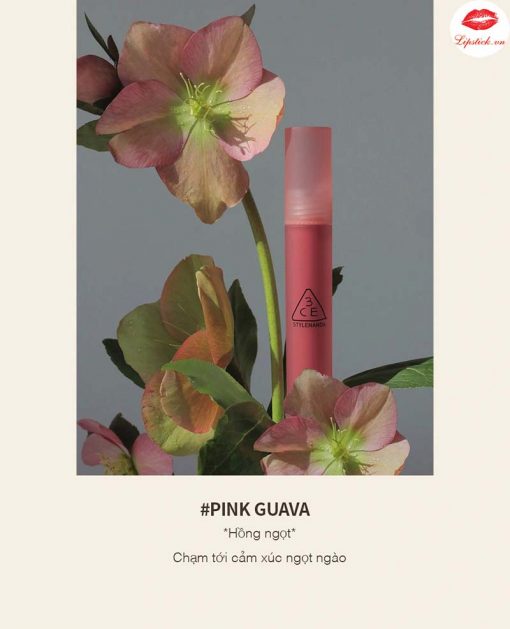 son-3ce-pink-guava